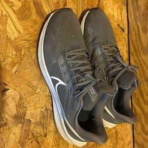 Nike Pegasus 39- Gray